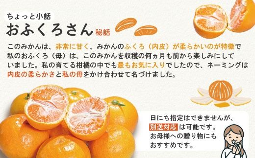 【早期受付・数量限定】農家直送！四万十みかん《おふくろさん》3kg 家庭用 予約 先行 先行受付 早期 早期受付 数量限定 2025年配送 家庭用 甘い あまい 旬 温州 温州みかん みかん 蜜柑 ミカン オレンジ フルーツ 果物 くだもの ジューシー 柑橘 四万十市 四万十 しまんと 高知県 高知 南国 土佐 四国 産地直送 農家直送 【2025年11月中旬より順次配送】25-550