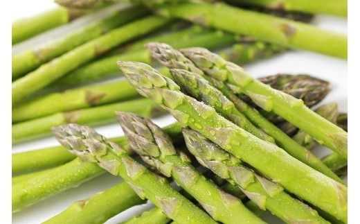 朝採り新鮮アスパラガス 500g【2Lサイズ】 | 野菜 アスパラガス グリーンアスパラ 旬 とれたて 春野菜 春 朝採り 朝採れ とれたて 新鮮 みずみずしい サラダ 甘い お取り寄せ 産地直送 冷蔵 岐阜県 瑞穂市