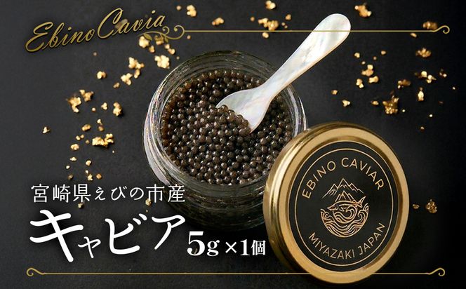 【ふるさと納税】キャビア ～ Chef's Portion ～ 国産 5g 冷蔵 宮崎県 えびの市産