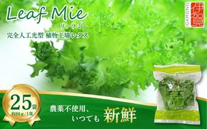 【農薬不使用】Leaf Mie（完全人工光型植物工場レタス）約80g×25個【fskk0001】