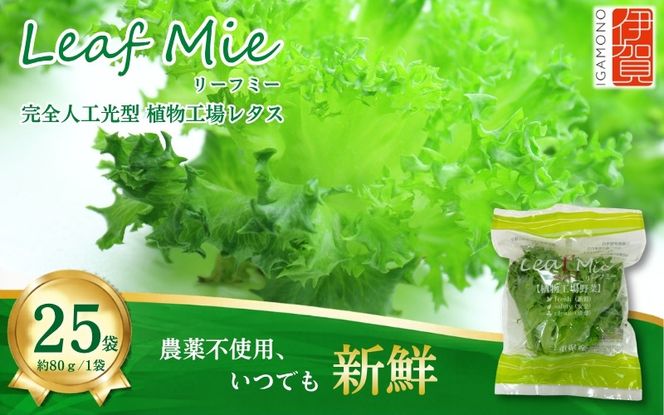 【農薬不使用】Leaf Mie（完全人工光型植物工場レタス）約80g×25個【fskk0001】