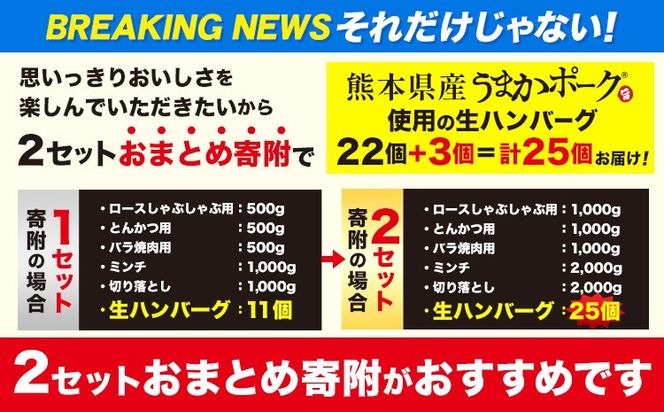 数量限定★生産者応援★ 豚肉 小分け バラエティ セット うまか ポーク しゃぶしゃぶ 切り落とし 豚ロース バラ 豚バラ 豚バラ肉 スライス 選べる 4.6kg 9.2kg 4kg 以上 真空 お楽しみセット 不揃い 数量限定 簡易包装 冷凍配送 《30日以内に出荷予定(土日祝除く)》---fn_fozpfs_23_30d_15000_4600g---