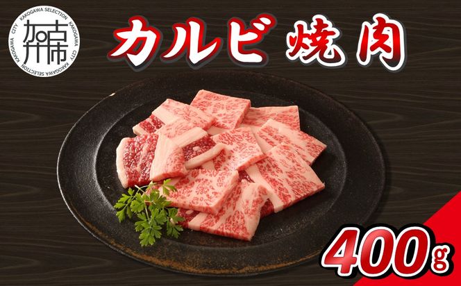 【14営業日以内に発送】神戸牛カルビ焼肉 400g(200g×2)《 肉 牛肉 神戸牛 カルビ 網焼き 焼肉 ばら 400g 冷凍 》【2501A16906】