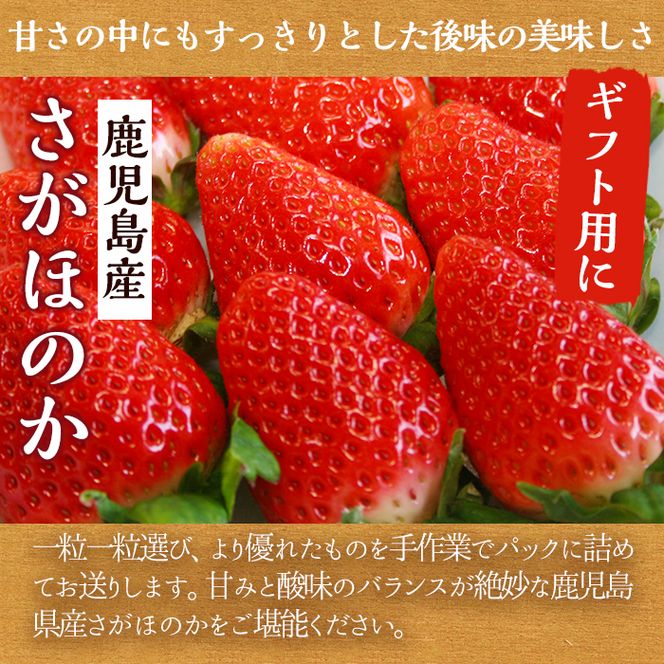 ＜先行予約受付中！2027年1月中旬以降順次発送予定＞ 鹿児島県産 いちご (さがほのか「秀大」・計約1.4kg・40粒×2箱) 鹿児島 阿久根 果物 フルーツ イチゴ いちご 苺 さがほのか デザート おやつ 期間限定 数量限定 【鹿児島いずみ農業協同組合】akn018-21