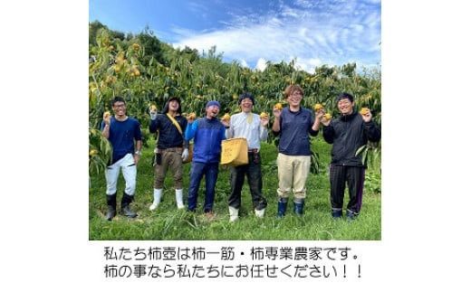 【柿専業の農家が作る】柿三昧セット 322032_BK005