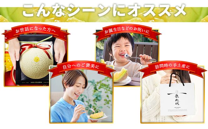 メロン 1玉入り【7日程度で発送】一果相伝マスク 最短配送 送料無料 めろん 青肉 果物 くだもの フルーツ 贈答用 贈答品 贈り物 ギフト 産地直送 篤農 高知県 香南市 常温 tn-0064
