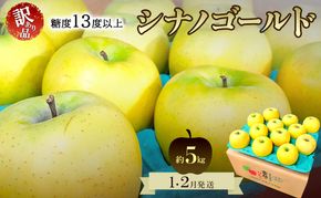 りんご【1月・2月発送】糖度13度以上 訳あり品 家庭用 シナノゴールド 約5kg【青森りんご 果物 フルーツ デザート 食後 青森県産 産地直送 贈り物】