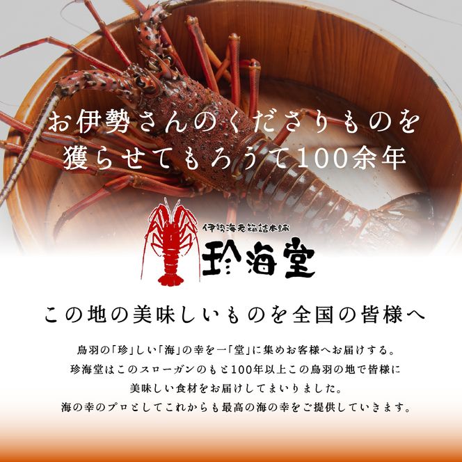 P-14活伊勢海老セット