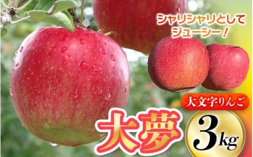 【2025年11月下旬より発送】大文字りんご園 大夢（おおゆめ） 約3kg (7～10玉) 【2025年11月上旬頃より順次発送】/ りんご リンゴ 林檎 果物 くだもの フルーツ 甘い 旬 産地直送 予約 先行予約【dma513-l-oy-3C】