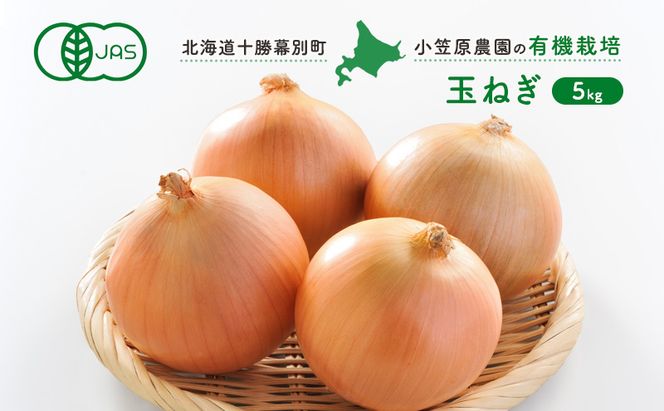 小笠原農園の有機玉ねぎ5kg【北海道十勝幕別】《2026年秋出荷先行予約》【 野菜 玉ねぎ たまねぎ パワーウルフ 北海道 幕別町 】