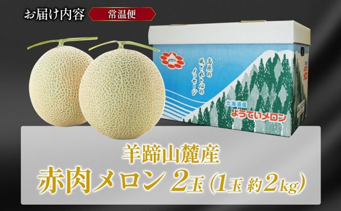 北海道 赤肉メロン 大玉 約2kg 2玉 メロン 赤肉 果物 フルーツ 甘い 完熟 スイーツ デザート 産直 国産 贈答品 お祝いギフト羊蹄山 JAようてい