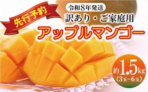 ＜訳あり・ご自宅用＞アップルマンゴー（約1.5kg）＜2026年発送＞ 〇 沖縄 旬のフルーツ マンゴー 7月 スイーツ おうち用 産地直送 お家使い うちなーすぐりむん 読谷村 お試し 夏 人気 甘い 家庭用