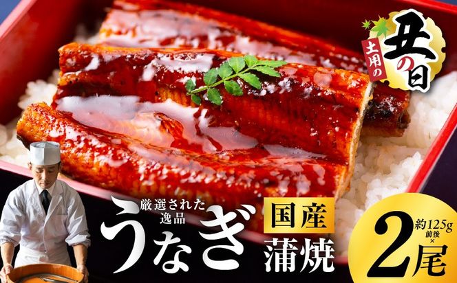 kgp0039-1d 【土用の丑の日までにお届け】国産うなぎ 2尾 合計250g【高評価 特製タレ付 蒲焼 鰻 ウナギ 有頭 炭火焼き 備長炭 手焼き レンジ 温めるだけ 簡単調理】