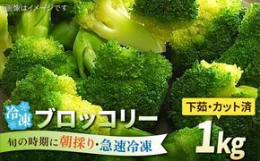 ブロッコリー 1kg 冷凍 旬の時期に急速冷凍 【福岡県糸島産】 糸島市 / オーガニックナガミツファーム 野菜[AGE053]