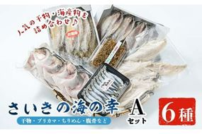 さいきの海の幸Aセット (6種) 鯵 カマス ブリカマ うるめいわし ちりめん 魚 干物 海産物 加工食品 セット 詰め合わせ 大分県 佐伯市【EW014】【(株)Up】