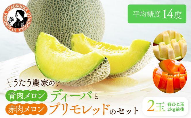 【先行予約】956.【ふるさと納税】青肉メロンディーバと赤肉メロンプリモレッドのセット ※日本全国配送可能  2026年10月上旬頃～11月上旬頃に順次発送予定 313726_BQ012