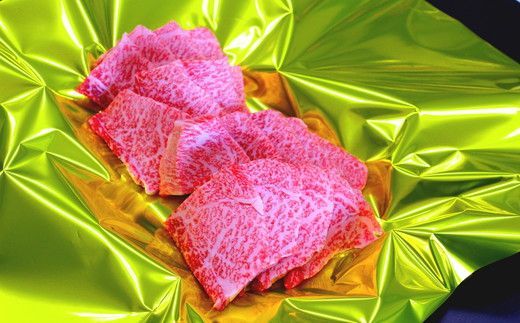 松阪牛赤身定期便（～７月受付・８月から毎月発送）【9-14】