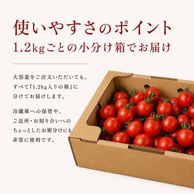 2027年発送 先行受付[栽培期間中 農薬・化学肥料不使用] 北海道 仁木町産 ミニトマト エコスイート 1.2kg×10箱 サイズ混載 トマト 野菜 [Farm Watanabe]