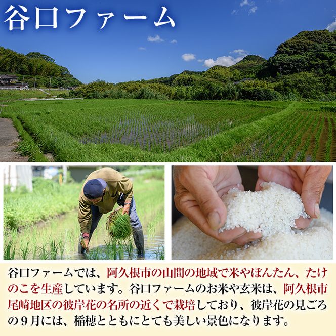 鹿児島県産の玄米 あきほなみ(計10kg・5kg×2袋) 国産 玄米 自社精米 ご飯 おこめ おにぎり お弁当 あきほなみ【谷口ファーム】akn064-07