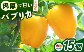 糸島産 肉厚 パプリカ 15個 福岡県 糸島市 / シーブ [AHC032] 野菜 やさい パプリカ ピーマン 肉厚 生 ピクルス マリネ 肉詰め