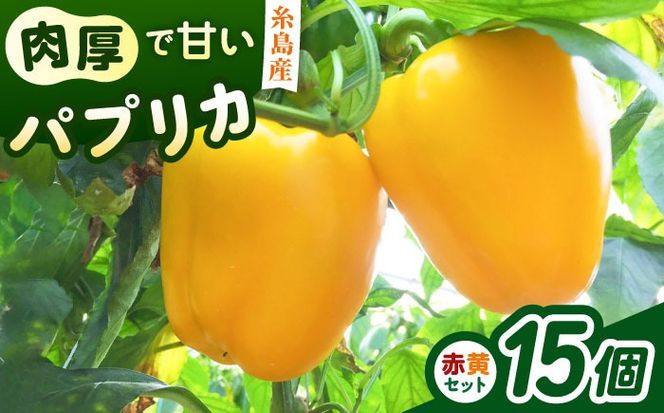 糸島産 肉厚 パプリカ 15個 福岡県 糸島市 / シーブ [AHC032] 野菜 やさい パプリカ ピーマン 肉厚 生 ピクルス マリネ 肉詰め