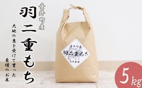 AO-4d 岐阜県産 羽二重もち 5kg