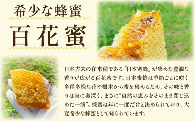 日本蜜蜂の純粋はちみつ 日本蜜蜂の純粋はちみつ 500g×1 蜜蝋100g付
