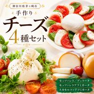 チーズ 4種 詰め合わせ 各1個 湘南 モッツァレラ チーズ  ブラッターチーズ スカモルツァアフミカータ 神奈川県 茅ケ崎市 Osteria e Bottega S 加工食品 乳製品 牛乳 手作業 ミルク 銀賞 幻のチーズ スモーク 塩漬け 美味しい  おつまみ ピザ 