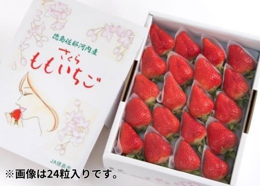 さくらももいちご　20粒または24粒入り化粧箱　※2025年1月上旬頃から発送　※北海道・沖縄・離島への配送不可