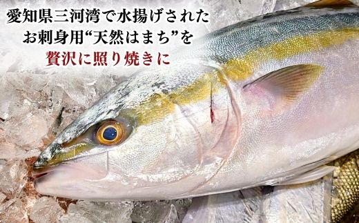 【焼くだけ簡単】三河湾産 天然はまちの醤油漬け 5袋セット｜無添加・個包装・照り焼きに