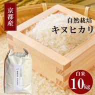 キヌヒカリ 10kg 新米 京都 丹波 お米 米 精米 きぬひかり 産地直送 令和8年 10キロ 新米26