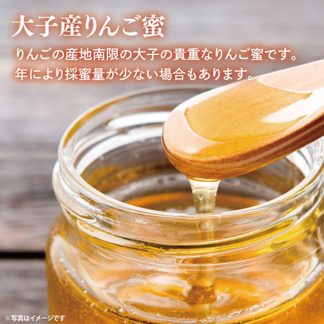 【2026年10月～2027年4月発送】天然はちみつ【大子のりんご蜜 120g×3本セット】|茨城県 大子町 奥久慈 ハチミツ 蜂蜜 プレゼント 包装(BG003)