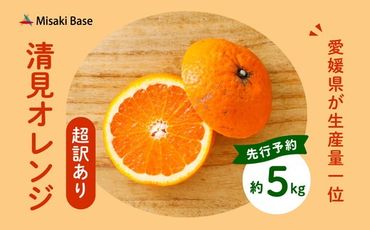 [先行受付][※超訳あり]清見オレンジ 5kg | みかん 柑橘 ミカン 蜜柑 mikan 果物 フルーツ 糖度 甘い きよみ タンゴール 温州 オレンジ ミックス 愛媛県 伊方町 Misaki Base ※2025年3月中旬〜4月中旬頃に順次発送予定 ※離島への配送不可