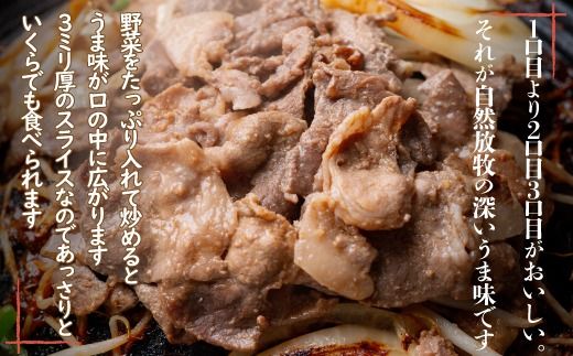 【定期3ヶ月】鹿追産 自然放牧黒豚ジンギスカンセット SKN033