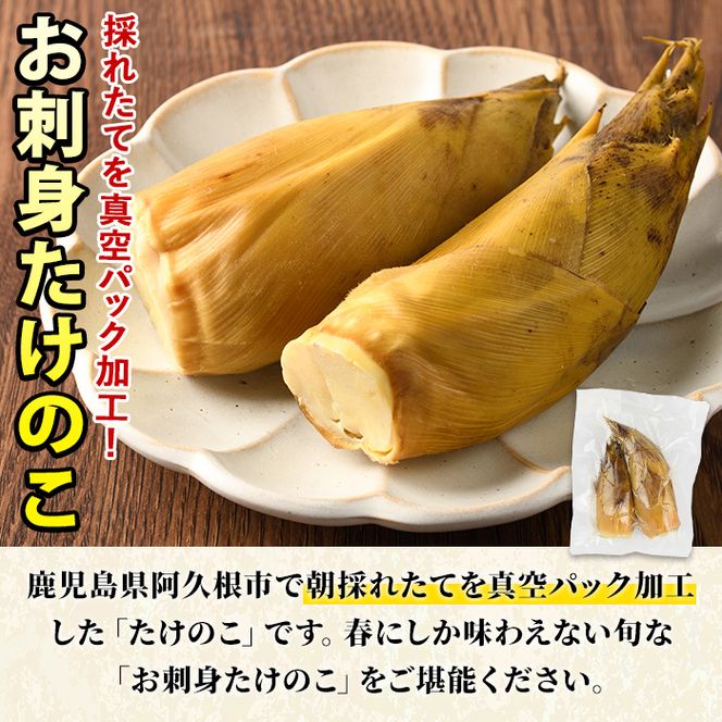 ＜先行予約受付中！2027年3月上旬以降順次発送予定＞ 【土日祝着】お刺身たけのこ(計1kg) 国産 鹿児島県産 朝採れ タケノコ 竹の子 筍 真空パック 野菜 春 旬 【上野食品】akn008-06-B