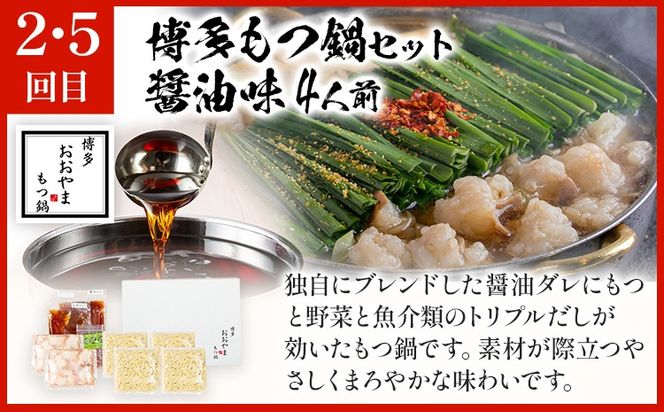 「おおやま」もつ鍋 味わい定期便【隔月定期便（年6回発送）】 モツ鍋 もつ鍋セット モツ鍋セット もつなべ 醤油 しょうゆ 味噌 みそ ちゃんぽん 博多 専門店 2人前 4人前 福岡県 福岡 九州 グルメ お取り寄せ