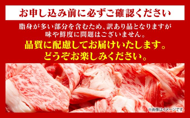 【訳あり】 【A4～A5ランク】 くまもと黒毛和牛 切り落とし 1kg （250g×4パック） 和牛 牛肉 お肉 黒毛和牛 牛肩 バラ 冷凍 炒め物 すき焼き しゃぶしゃぶ おかず 熊本県 八代市