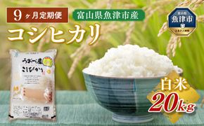 【令和8年度米】【9ヶ月定期便】富山県 うおづ産米「コシヒカリ」20kg（5kg×4袋）（精米）｜9ヶ月定期便 9回 9ヶ月 こしひかり こめ コメ お米 おこめ 白米 精米 雪解け水 香り うまみ あまみ 冷めても 美味しい おにぎり お弁当 高品質 魚津市