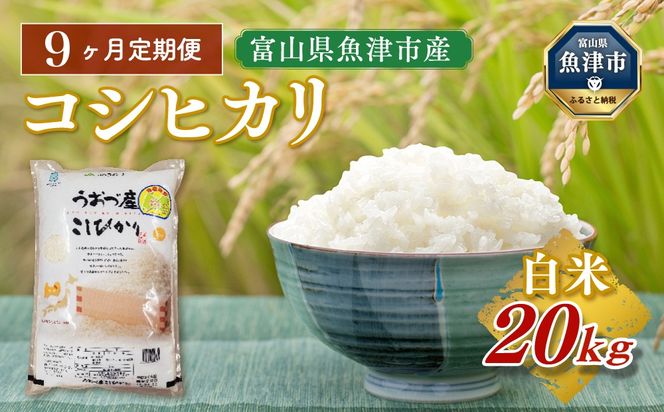 【令和8年度米】【9ヶ月定期便】富山県 うおづ産米「コシヒカリ」20kg（5kg×4袋）（精米）｜9ヶ月定期便 9回 9ヶ月 こしひかり こめ コメ お米 おこめ 白米 精米 雪解け水 香り うまみ あまみ 冷めても 美味しい おにぎり お弁当 高品質 魚津市