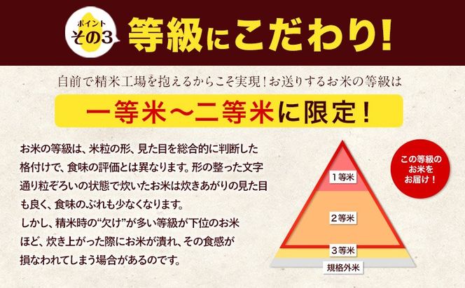 米 無洗米 令和6年産 新米 特A受賞品種 ひのひかり 森のくまさん 米 送料無料 選べる 内容量 10kg または 20kg 食べ比べ ヒノヒカリ 選べる 厳選 熊本県産(長洲町産含む) 米 お米 森くま 《7-14営業日以内に出荷予定(土日祝除く)》長洲町---ng_hm6_wx_24_19000_10kg---