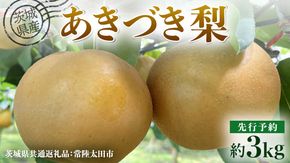 【 先行予約 】茨城県産 梨 あきづき 約3kg 6玉～7玉( 茨城県共通返礼品 : 常陸太田市 ) 【 2025年 9月中旬頃より発送 】 フルーツ 果物 国産 日本産 梨 ナシ なし 和梨 秋月 期間限定 数量限定