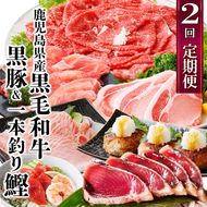 定期便(2回配送)鹿児島県産黒毛和牛・豚肉・一本釣りかつお DD-6004 【1166749】