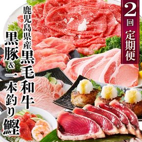 定期便(2回配送)鹿児島県産黒毛和牛・豚肉・一本釣りかつお DD-6004 【1166749】
