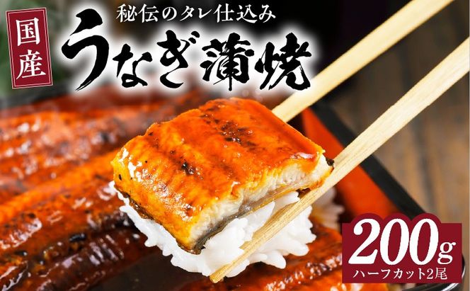 099H2639 国産うなぎ ハーフカット 合計 200g 秘伝のたれ 蒲焼 訳あり 鰻 ウナギ 無頭 炭火焼き 備長炭 手焼き