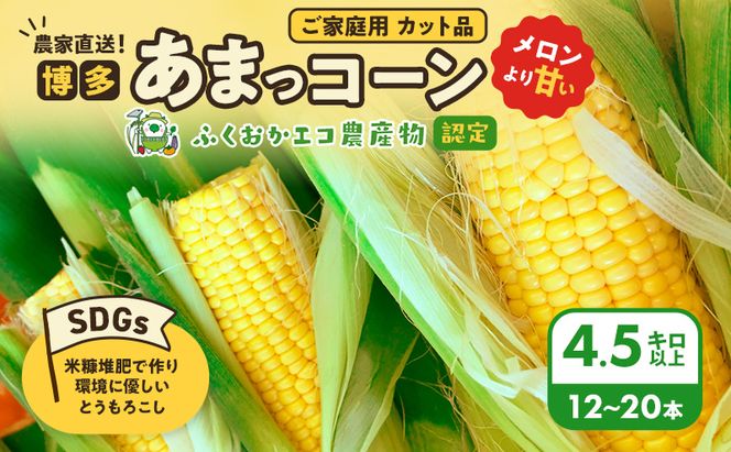 【来年度受付予約：2026年6月より発送】とうもろこし 農家直送！SDGs米糠堆肥で作った環境に優しいメロンより甘い 博多あまっコーン ご家庭用 カット品 4.5キロ以上 (12～20本) /酒見農産/トウモロコシ ※配送不可：離島