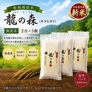特別栽培米 「 龍の森 」( キヌヒカリ )　300g×3パック お米 無洗米 きぬひかり 真空パックでお届け 米 コメ 精米 無洗米 白米 ごはん 白飯 京都府 南丹市