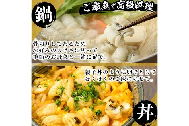 骨切り 白鱧 (計800g・400g×2パック・カット済み) 骨切り済 ハモ はも 一口 天ぷら しゃぶしゃぶ フライ 小分け 冷凍 魚介類 鍋 国産 宮崎県 門川町【O-8】【門川漁業協同組合】