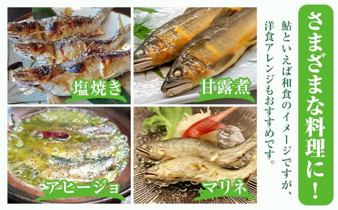 すだち鮎 12尾 冷凍 有限会社岩崎商店 《30日以内に出荷予定(土日祝除く)》│1尾あたり20～25cm 徳島県産 あゆ アユ 魚 魚介 川魚 塩焼き 甘露煮 徳島県 佐那河内村---sanagouchi_ist_2_12bi---