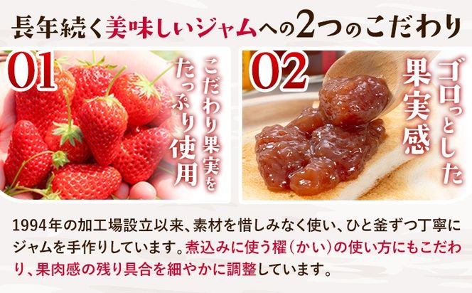 阿蘇果蜜ジャム4種セット 35g×4本 木之内農園 ジャム《30日以内に出荷予定(土日祝を除く)》 熊本県南阿蘇村 ジャム いちご ブルーベリー はるか 不知火 苺 大粒 乗せるジャム---isms_kinoaskmt_30d_r7_7000_4p---