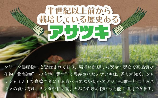 北海道産アサツキ 1kg TYUAH004